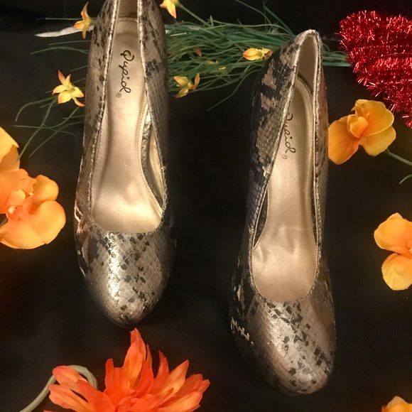 Qupid Platforms - Picture 4 of 5